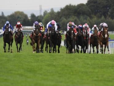 Haydock is the venue for all of today's FTM selections